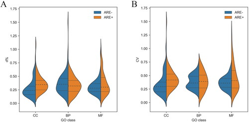 Figure 4. The d% (A) and CV (B) of mRNA expression level in each subgroup. Dotted lines indicate quartiles. The shape of the violin represents the distribution of the samples. The shorter and fatter the violin is, the more concentrated the distribution; the taller and thinner the violin is, the more dispersed the distribution. d%, relative average deviation; CV, coefficient of variation; GO, gene ontology; ARE, adenylate-uridylate-rich element; CC, mRNAs classified as cellular componentcategory; BP, mRNAs classified as biological process category; MF, mRNAs classified as multiple function category.