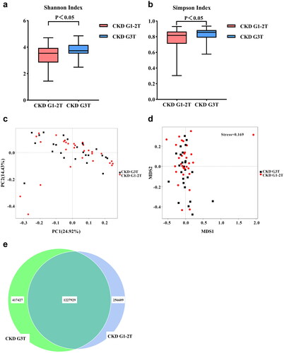 Figure 2. Gut microbial diversity between CKD G1-2T and CKD G3T groups. α-diversity analysis: (a) shannon index; (b) simpson index. β-diversity analysis: (c) principal coordinates analysis (PCoA) (based on Bray-Curtis distance); (d) nonmetric multidimensional scaling (NMDS). (e) Venn diagram showing the overlap of OTUs.