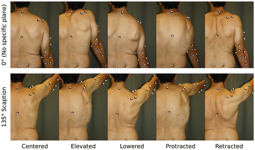 Figure 1. A participant equipped with reflective markers performing 10 of the 55 shoulder poses. Each column stands for a scapula pose (Centred, Elevated, Lowered, Protracted, Retracted) while the two rows correspond to two arm elevations (0° and 135° of flexion in the scapular plane).