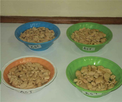 Figure 1. Textured soy protein samples during rehydration.