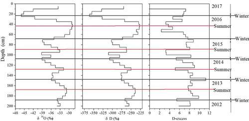 Figure 2. Vertical profiles of stable water isotopes and D-excess. Black and red lines represent winter and summer layers, respectively; the data were obtained from Du et al. (Citation2019c).