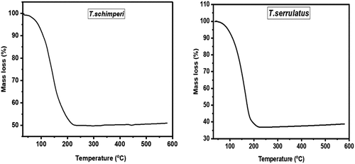 Figure 2. TGA curves of T.schimperi and T.serrulatus essential oils.