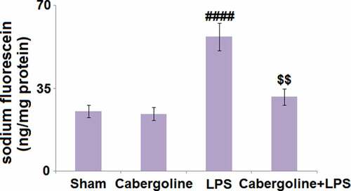 Figure 2. Cabergoline reduces LPS-induced increase in blood–brain barrier permeability in mice brains. Blood–brain permeability was evaluated by intravenous injection sodium fluorescein (####, P < 0.001 vs. vehicle group; $$, P < 0.01 vs. LPS group, n = 9–10)