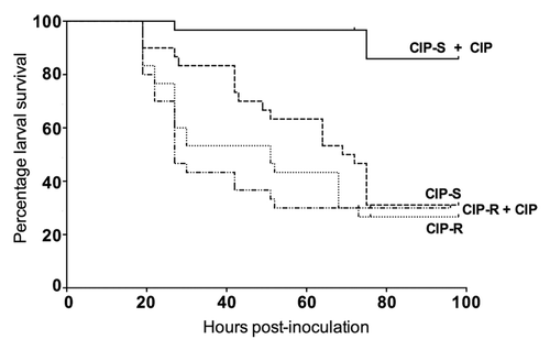 Figure 2. Effect of ciprofloxacin (CIP) treatment against CIP-susceptible (CIP-S) isolate UOAE8502 and CIP-resistant (CIP-R) isolate UOAE8433. The difference in larval killing between the CIP-treated and control groups was statistically significant for isolate UOAE8502 (CIP-S) (P < 0.001), but not for isolate UOAE8433 (CIP-R).