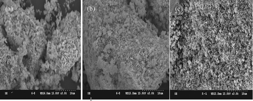 Figure 2. SEM patterns of the catalysts (a) La0.7Ce0.3SrNiO4, (b) La0.4Ba0.4Ce0.2SrNiO4, and (c) Pr0.4Ba0.4Ce0.2SrNiO4.