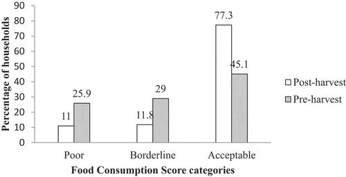 Figure 2. Proportion of households along the three food consumption score categories.