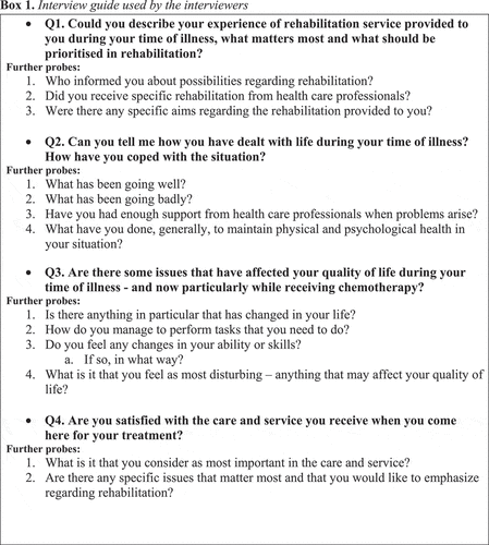 Figure 2. Interview guide used by the interviewer