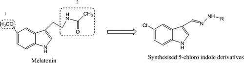 Figure 1.  Modifications made on MLT molecule.