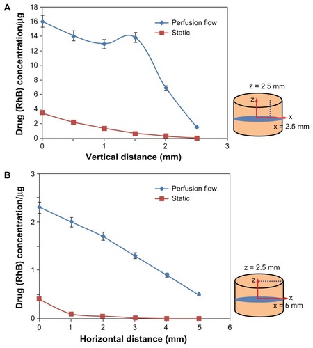 Figure 8 Influence of the physiological solution (culture medium) flow rate in the bone bioreactor on the distribution of the model drug (rhodamine B [RhB]) released from implants based on titania nanotube arrays on the surface of titanium wires. The flow rate of 7 mL/hour was compared with the static condition (no flow) after 24 hours of drug release. The bone diagrams on the right indicate the locations at (A) horizontal (5 mm) and (B) vertical distances (2.5 mm) from the surface of the implant where concentration measurements were taken.