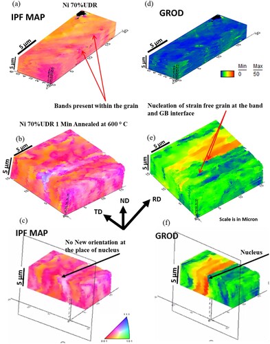 Figure 12. Nucleation at GB and transition band intersection, 3D IPF map of (a) pure Ni 70%CR, (b) Ni 70% CR 60 s anneal, (c) sectioned view of 60 s anneal sample indicating the region of nucleation, 3D GROD map of (d) pure Ni 70%CR, (e) Ni 70% CR 60 s anneal, (f) sectioned view of 60 s anneal sample indicating the region of nucleation (blue colour).