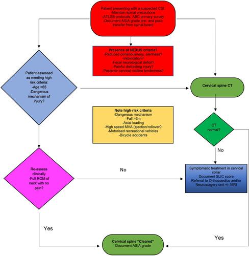 Figure 2 An algorithm for the management of suspected CSI in the Emergency Department.