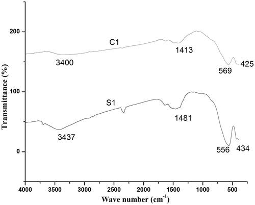 Figure 3. FTIR spectra of MgFe2O4 samples S1 and C1.