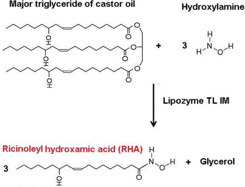 Scheme 1 Reaction equation for the hydroxylaminolysis of castor oil.