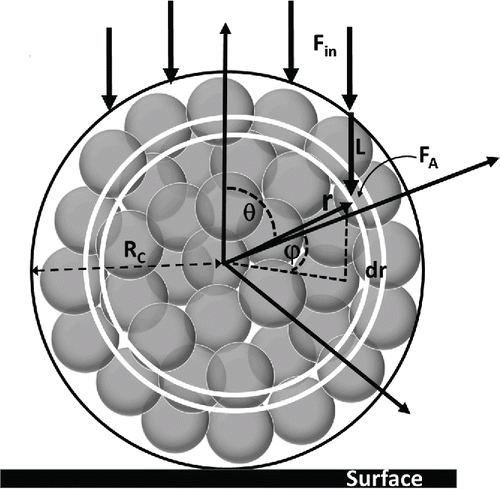 Figure 2. Geometry of spore cluster exposure. Spores are indicated as shaded circles. A dark circle indicates the outer boundary of the cluster, which has radius RC. A polar coordinate system is used where r is the radial distance from the spore center, θ is the polar angle from the upward pointing axis, and ϕ is the azimuthal angle. The incoming UV-C flux is denoted by Fin. The model evaluates the attenuated fluence FA at a location in the spore given by (r, ϕ, θ) and considers the length L from the surface of the cluster to the point of evaluation as an approximation of the effective attenuation length. The two white circles illustrate the integration interval dr. Integration intervals for dϕ and dθ are not shown. The surface on which the cluster rests is shown by the black rectangle.