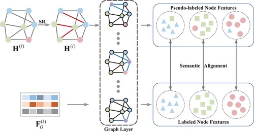 Figure 1. Describes a single layer of SRGCN. Each convolutional layer has two different inputs. The output is a pseudo-labeled node feature and an actual-labeled node feature, and their feature semantics of the same class are aligned. SR in the figure indicates the structural reinforcement operation (H(l)←H(l)+β(H(l)−FO(l))) and the red edges represent the structure after reinforcement.