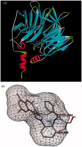 Figure 2. Docking of compound 12 within the active site of PON1 (A) Discovery Studio 4.0 Client images and (B) ADT images.