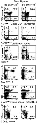 Figure 3. Characterization of BMPR1αT− mice. Panels in the left column are normal Foxp3GFP mice on a C57BL6 genetic background (BMPR1αTwt) and in the right column are BMPR1αT− mice. (a, c) CD4 and CD8 expression on thymocytes and lymph node cells. (b) CD25 and Foxp3 expression on gated CD4+ thymocytes. (d, e) Analysis of CD4 and Foxp3 or CD25 expression on lymph node cells. (f) Expression of activation markers CD44 and CD62L on gated CD4+ lymph node cells. Cells ware stained with indicated antibodies and numbers show percentage of cells in each quadrant of dot-plot. A representative experiment of three (each experiment used 2–3 mice) each is shown.