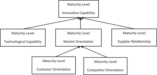 Figure 1. Trucking company’s innovative capability maturity model.