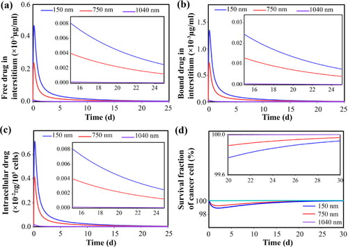 Figure 14. Temporal distribution of therapeutic agents and cell death considering 12 nm secondary nanoparticles and primary nanoparticles in different sizes, Temporal distribution of (a) free drugs in extracellular space, (b) bound drugs in extracellular space, (c) internalized free drug, and (d) survival fraction of tumor cells. Primary nanoparticles with smaller sizes have longer circulation time; hence, secondary nanoparticles accumulate in the tissue for a longer time and at a higher concentration. This improves bioavailability and therapeutic response.