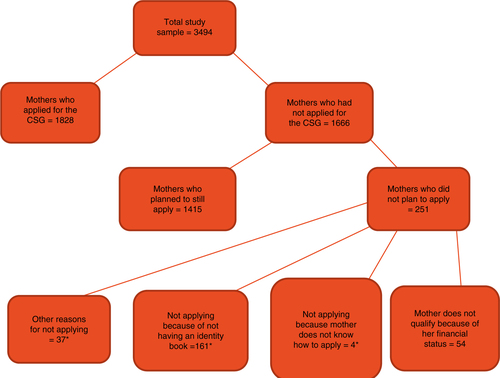 Fig. 1 CSG application and reasons for not applying.*Five mothers gave more than one reason for not applying.