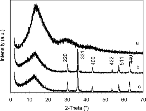 FIG. 4 X-ray powder diffraction patterns of (a) dried polymer powder, (b) magnetite, and (c) polymer-coated magnetic nanocomposite.