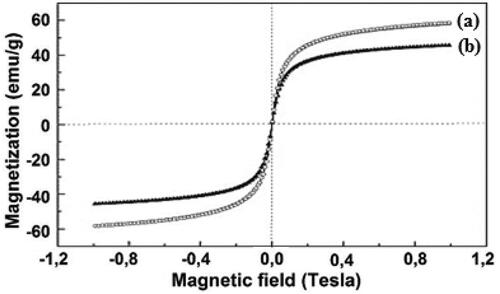 Figure 4. The hysteresis curves of (a) Fe3O4 NPs and (b) Fe3O4/Starch-Au nanocomposite.