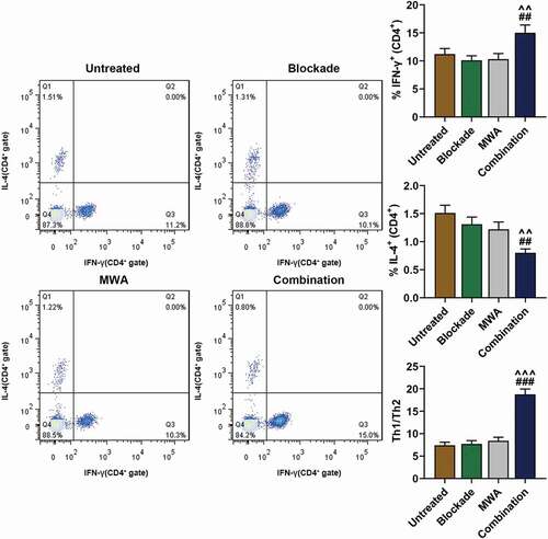 Figure 5. Treatment of MWA with anti-PD-1/anti-CTLA-4 caused Th1 cell polarization. The proportion of IFN-γ-producing Th1 cells and Th2 cells producing Interleukin-4 (IL-4) was quantified after flow cytometry analysis. The ratio of Th1/Th2 cells was then measured. ^^P < 0.01, ^^^P < 0.001, vs. MWA; ##P < 0.01, ###P < 0.001, vs. Blockade. Each experiment was independently conducted in triplicate