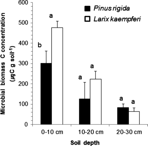 Figure 5. The mean microbial biomass C concentration at different soil depth in the Pinus rigida and Larix kaempferi plantations. Different letters indicate the difference between the two plantations at the same depth (P < 0.05).