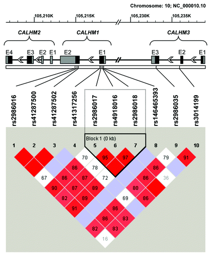 Figure 1. Standard (D´/LOD) linkage disequilibrium plot of the coding regions of CALHM1, CALHM2 and CALHM3. Haplotype blocks were generated using the confidence interval method by Haploview v4.2 software.Citation24 Exon (E) structure of these genes is depicted above the linkage disequilibrium plot. Coding regions are indicated by black boxes, while untranslated 5′and 3′exonic regions are represented by gray boxes.