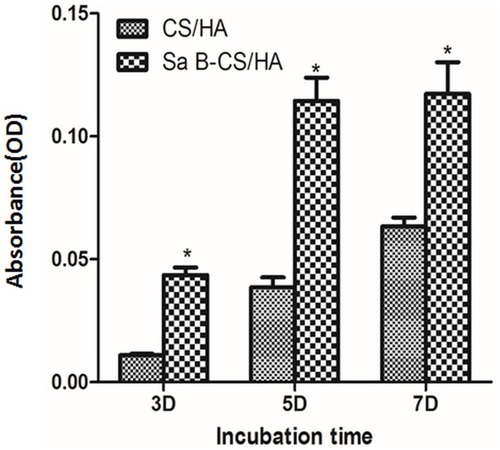 Figure 5 Proliferation of MC3T3-E1 cells in CS/HA and Sa B-CS/HA groups at 3 and 5 days.Notes: Values represent the mean of 3 times in each group (mean ± SD). *Significant difference between the values of Sa B-CS/HA group and CS/HA group (P<0.05).