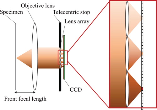 Figure 2. Schematic diagram of IFM.