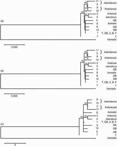 Figure 2. Minimum evolution (a) and neighbour joining (b) phylogenies of 13 Troglodytes ND2 haplotypes based on the Tamura–Nei distance with a gamma shape parameter of 1.31. Maximum parsimony (c) phylogeny shows most parsimonious tree with length = 58. Numbers at nodes denote bootstrap confidence indexes > 30%. Haplotype numbers (as per Table 3) are given to the right of branch termini. T = nominate troglodytes, GB = birds from mainland Great Britain (troglodytes/indigenus), Z = zetlandicus, B = borealis and F = fridariensis.