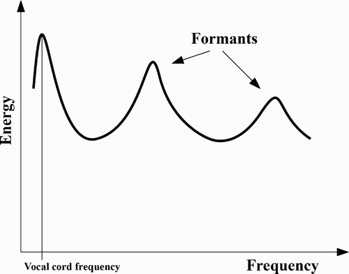 Figure 3. Spectral cross section of a speech sound. The formants are resonances that result from the vocal tract shape associated with the sound.