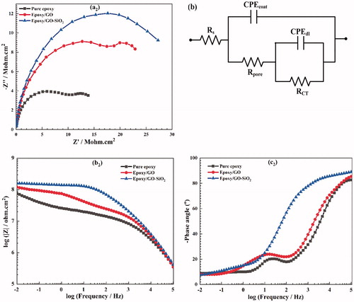 Figure 12. Nyquist (a2), Bode (b2) plots and phase diagrams (c2) obtained from EIS analysis for neat epoxy, epoxy/GO and epoxy/GO–SiO2 composite coating after immersion in 3.5 wt% NaCl solution for 7 days. (b) Equivalent circuit of the different samples.