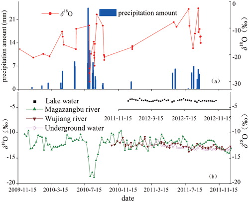 FIGURE 3. Temporal variation in the water δ18O in the LBG Basin, for (a) daily precipitation δ18O and precipitation amounts at the Ngari Station 2009–2011, (b) for weekly river δ18O in the Wujiang in 2011, the Magazangbu 2010–2011, and weekly groundwater δ18O at Ngari Station; and weekly lake δ18O in 2011– 2012.