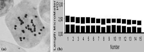 Figure 3. T. brevifolium: (a), somatic metaphase (2n = 30); (b), ideogram.