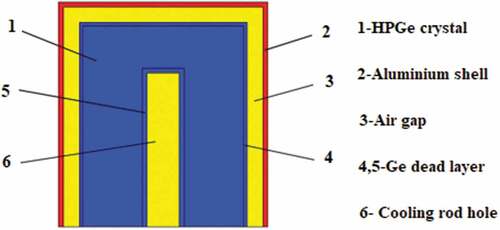 Figure 3. Schematic diagram of the coaxial HPGe detector.