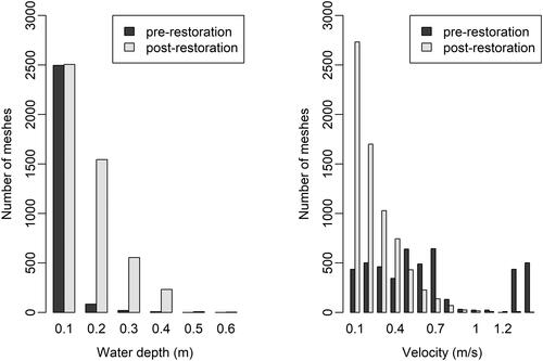 Figure 4. Frequency distribution of water depths and velocities before restoration and after restoration at MALF = 0.041 m3/s.