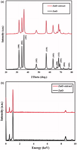 Figure 1. (a) XRD patterns and (b) EDX spectra of the ZnO samples prepared in water and aqueous solution of the extract.