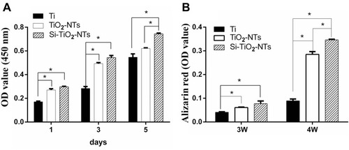 Figure 4 Cell viability and proliferation (A) shown by MTS assay of MC3T3-E1 cells cultured on Ti, TiO2-NTs and Si-TiO2-NTs for one, three, and five days, and calcium deposition determined (B) by alizarin red staining for -three and four weeks. *p<0.05.