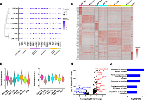 Figure 4. Transcriptional signature of double-negative T (DNT) cells.