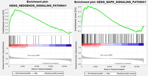 Figure 13 GSEA of GC patients based on the autophagy-related lncRNA prognostic signature.