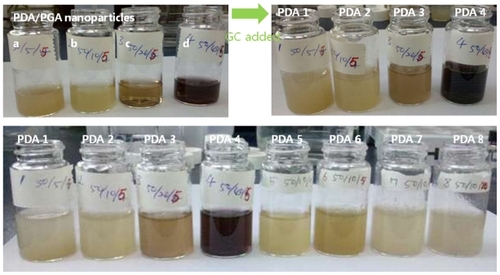 Figure 4 Photos of the PDA-incorporated nanoparticles. Photo in top-left box is of ion complexes of PDA-incorporated PGA nanoparticles: PDA/PGA weight ratio (w/w) (a) 50/5; (b) 50/10; (c) 50/20; and (d) 50/40. The top-right box is of nanoparticles after addition of GC, and the bottom photo is of PDA-incorporated nanoparticles.Note: The composition of PDA/PGA/GC is illustrated in Table 1.Abbreviations: GC, glycol chitosan; PDA, p-phenylenediamine; PGA, poly(γ-glutamic acid).
