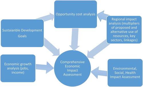Figure 1. Comprehensive EcIA framework.