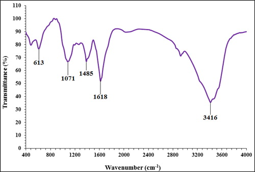 Figure 3. FT-IR spectra of biosynthesized copper nanoparticles.