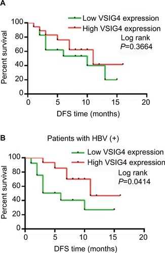 Figure 4 The prognosis of 36 HCC patients in our center with high and low expression of VISG4.Notes: (A) Survival curves of DFS for 36 HCC patients in our center. (B) Survival curves of DFS for HCC patients with HBV infection in our center. Log-rank test.Abbreviations: DFS, disease-free survival; HBV, hepatitis B virus; HCC, hepatocellular carcinoma; VSIG4, V-set and immunoglobulin domain containing protein 4.