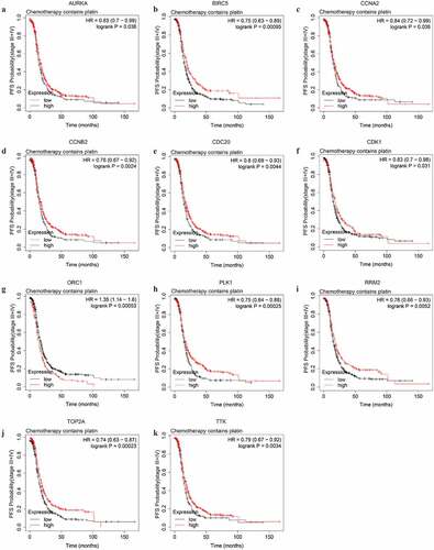 Figure 7. The PFS curves of the key genes with significant prognostic value analyzed on 907 SOC patients of stage III+IV treated with chemotherapy containing platin
