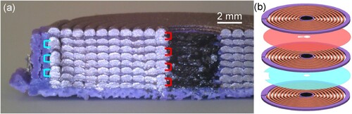 Figure 6. Close-up, cut view of a 3D-printed inductor showing the inter-layer electrical connections (a) and exploded diagram depicting the different geometries of the insulation layers (b). The alternation of insulation layer geometries results in the formation of electrical connections at the innermost loops (marked in red) and outermost loops (marked in blue), alternatively.