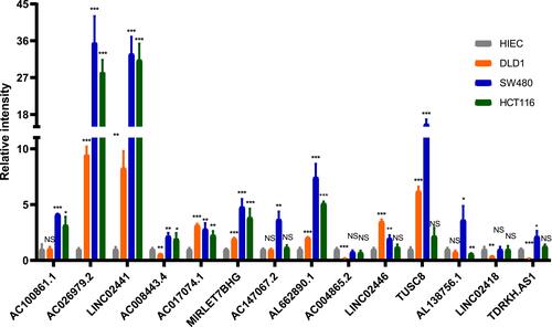 Figure 9 The expression of 14 lncRNAs by RT-qPCR (NS: no significance, P>0.05; *P<0.05; **P<0.01; ***P<0.001).