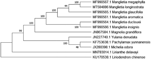 Figure 1. Phylogenetic tree using maximum-likelihood (ML) method based on the complete chloroplast genome of 12 species. Numbers above the node indicate bootstrap value.